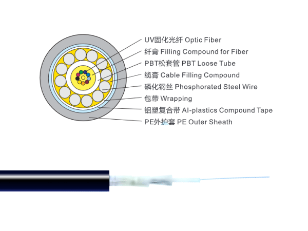 2~12芯中心束管式光纜（鋼絲铠裝）