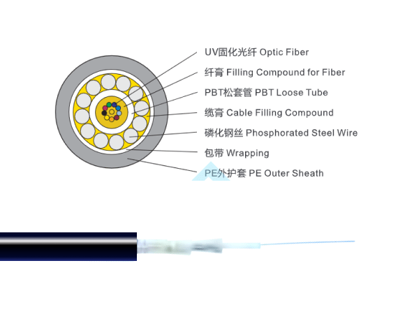 2~12芯中心束管式光纜（鋼絲铠裝）